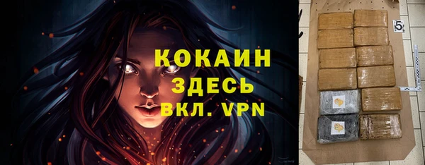 ПСИЛОЦИБИНОВЫЕ ГРИБЫ Аркадак