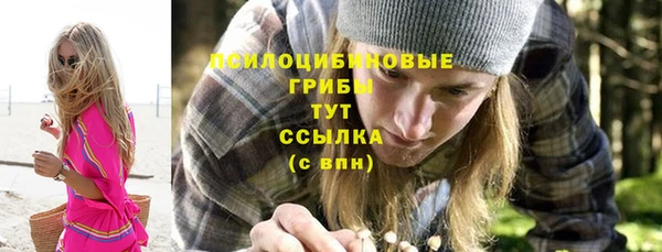 ПСИЛОЦИБИНОВЫЕ ГРИБЫ Аркадак