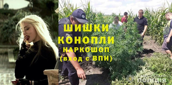 ПСИЛОЦИБИНОВЫЕ ГРИБЫ Аркадак