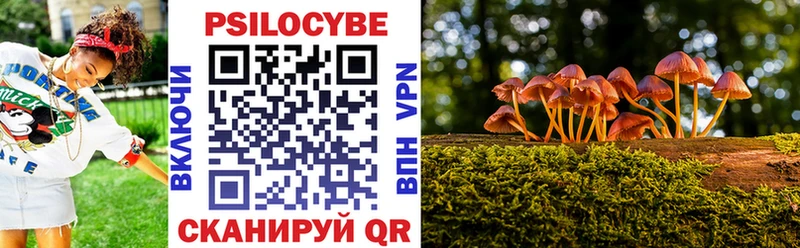 Псилоцибиновые грибы мухоморы  Пучеж 